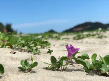 土壤快速检测仪有哪些设备，土壤快速检测仪有哪些设备组成